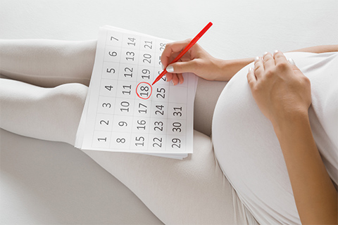 Everything About Pregnancy Calendar - Iron Proxy