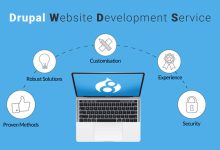 Drupal Website Development Services: An Ultimate Guide