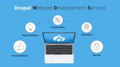 Drupal Website Development Services: An Ultimate Guide