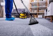 The Top Carpet Cleaning Services Companies for Pet Owners
