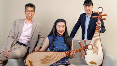 Strings of Tradition: Discovering the Art of Pipa Lessons in Singapore