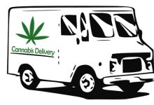 The Green Revolution: Cannabis Delivery Unleashed